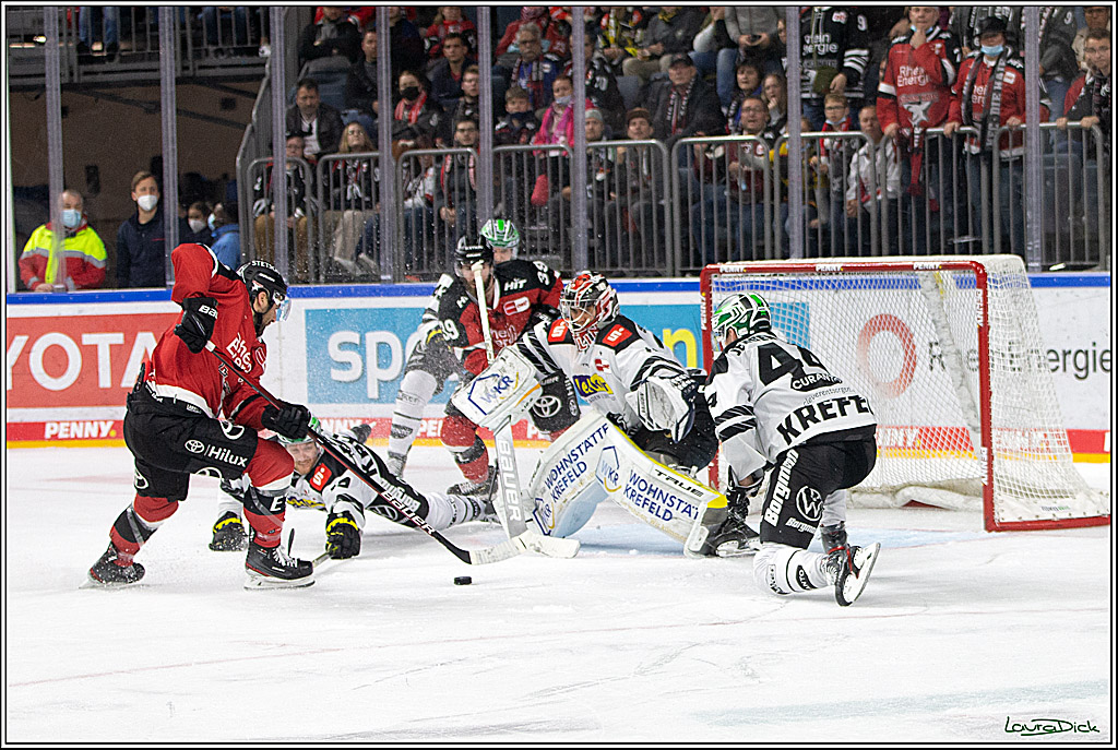 PENNY DEL;  Koelner Haie - Krefeld Pinguins; Koeln, 31.10.2021